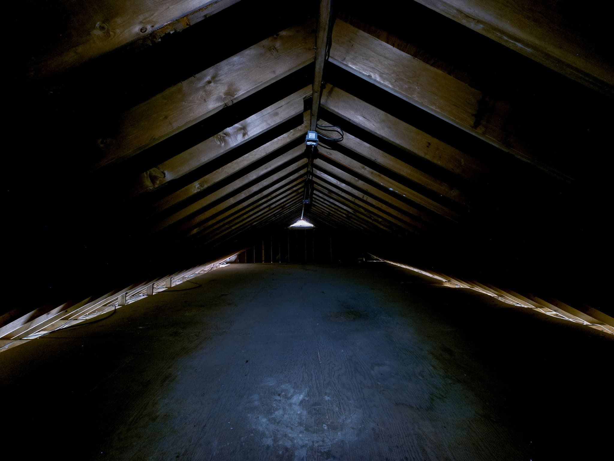 Gallery image slideShow19